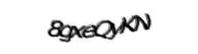 Security check image, please type the characters shown